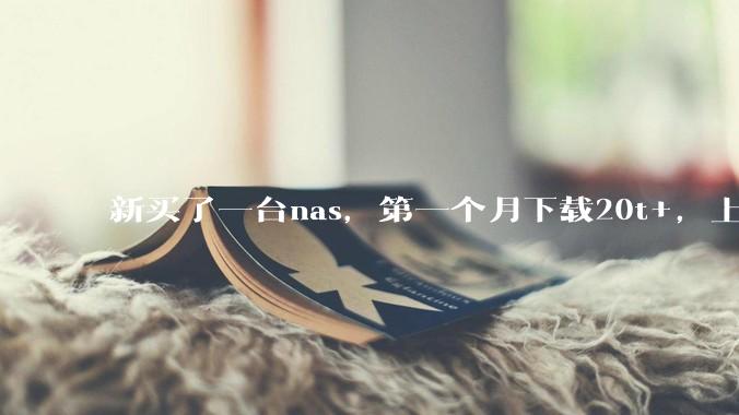 新买了一台nas,第一个月下载20t+,上传5+,不会被网警盯上吧?